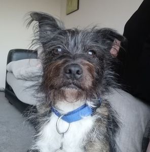 Meet your Posher, Eva